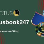 Skyward Rises and Roulette Falls: Player Patterns on LotusBook247