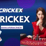 Why Crickex is Popular Among Cricket Enthusiasts